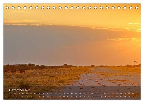 Produktbild: Botswana Wildlife (Tischkalender 2026 DIN A5 quer), CALVENDO Monatskalender