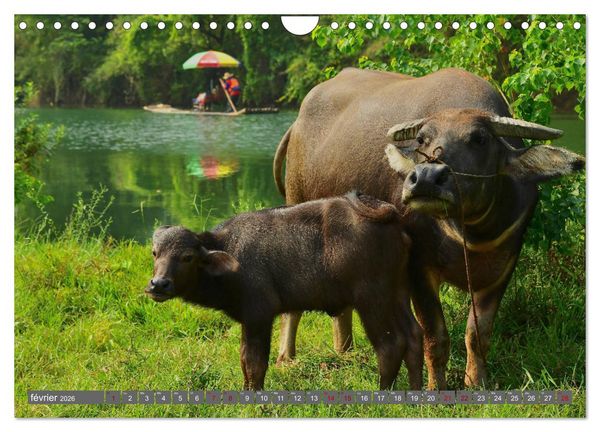 Produktbild: RIVI&Egrave;RE YULONG (Calendrier mural 2026 DIN A4 vertical), CALVENDO calendrier mensuel