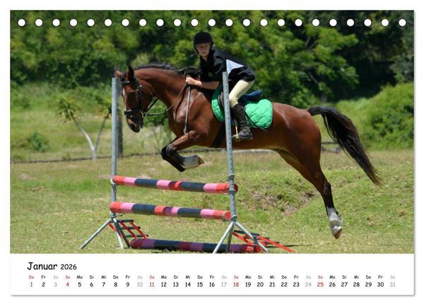 Produktbild: Pony Springreiten (Tischkalender 2026 DIN A5 quer), CALVENDO Monatskalender