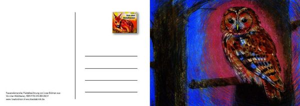 Produktbild: Von den Waldtieren &ndash; Ein Postkartenbuch