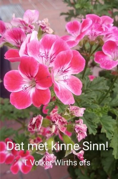 Produktbild: Dat met kinne Sinn