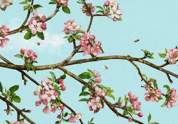 Produktbild: Das gro&szlig;e Buch vom Apfelbaum