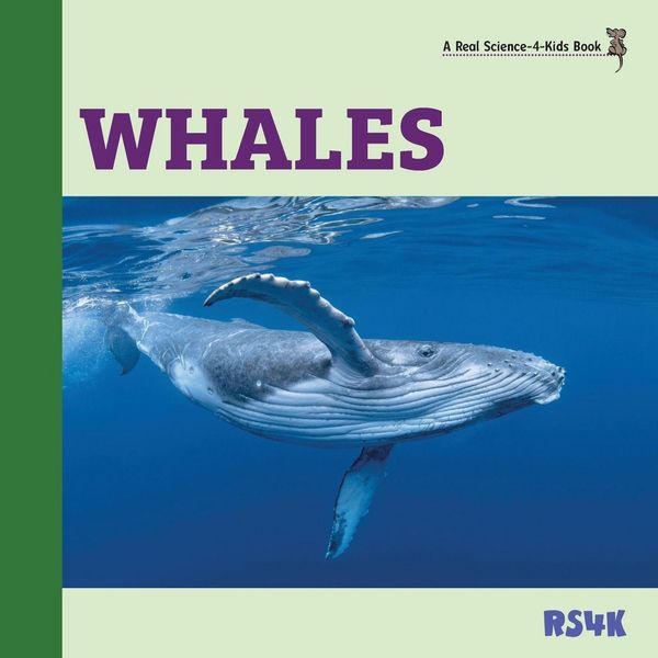 Produktbild: Whales