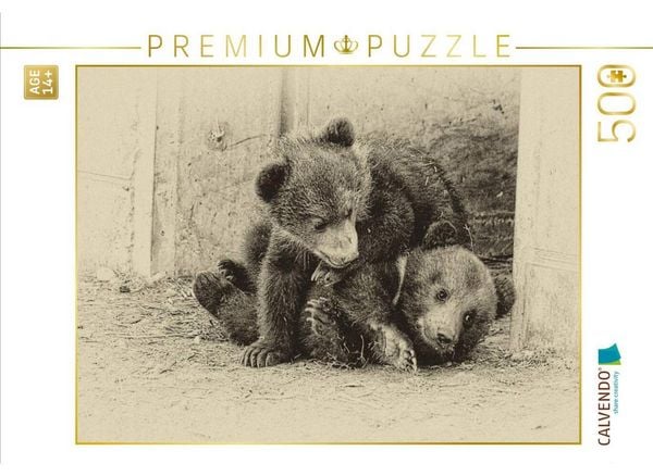 CALVENDO Puzzle Gemeinsam spielen | 500 Teile Lege-Größe 48 × 36 cm Foto-Puzzle für Erwachsene