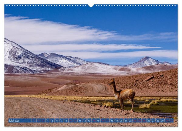 Produktbild: Atacama: Karge W&uuml;ste, m&auml;chtige Vulkane und farbenpr&auml;chtige Lagunen (hochwertiger Premium Wandkalender 2026 DIN A2 quer), Kunstdruck in Hochglanz