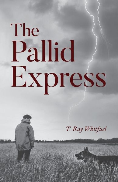 Produktbild: The Pallid Express
