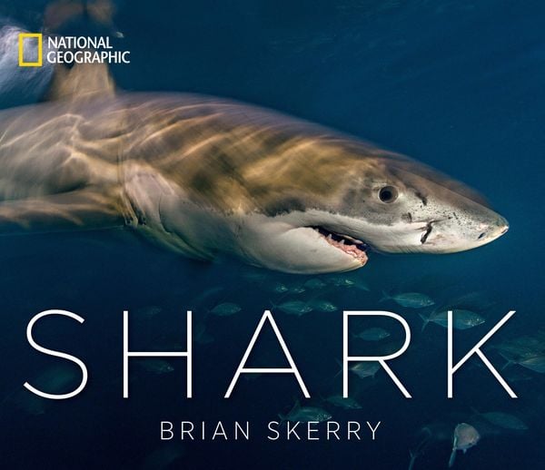 Produktbild: Shark