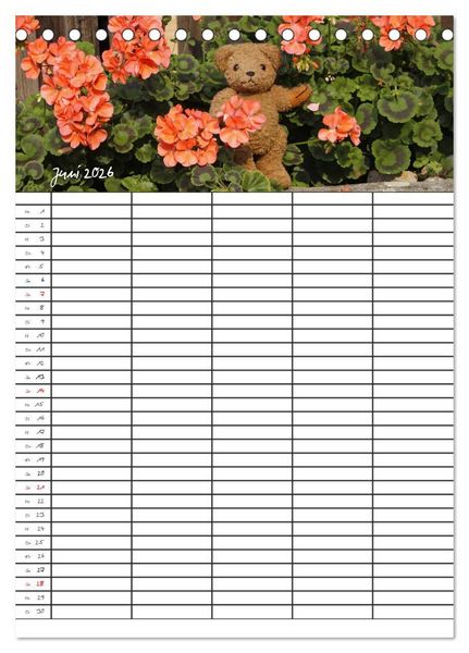 Produktbild: Der Teddyb&auml;ren-Familienplaner (Tischkalender 2026 DIN A5 hoch), CALVENDO Monatskalender