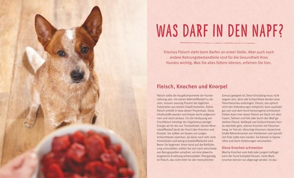 Produktbild: BARF f&uuml;r Hunde