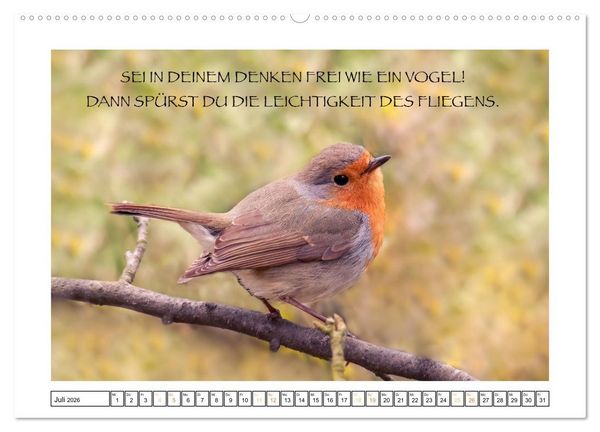 Produktbild: Spruch verliebt (hochwertiger Premium Wandkalender 2026 DIN A2 quer), Kunstdruck in Hochglanz
