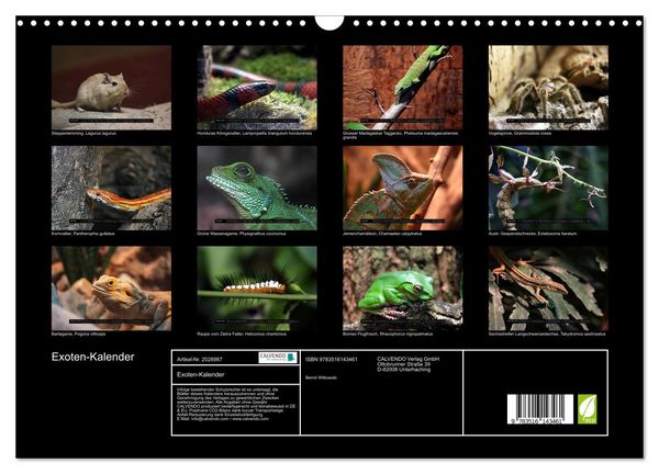 Produktbild: Exoten-Kalender (Wandkalender 2026 DIN A3 quer), CALVENDO Monatskalender