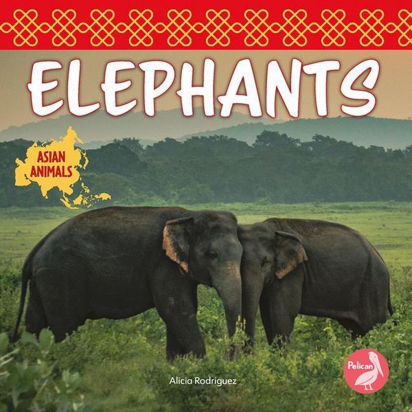 Produktbild: Elephants