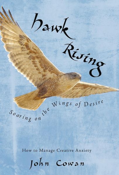 Produktbild: Hawk Rising