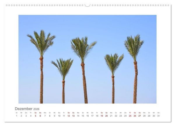 Produktbild: &Auml;gypten - unterwegs mit Julia Hahn (hochwertiger Premium Wandkalender 2026 DIN A2 quer), Kunstdruck in Hochglanz