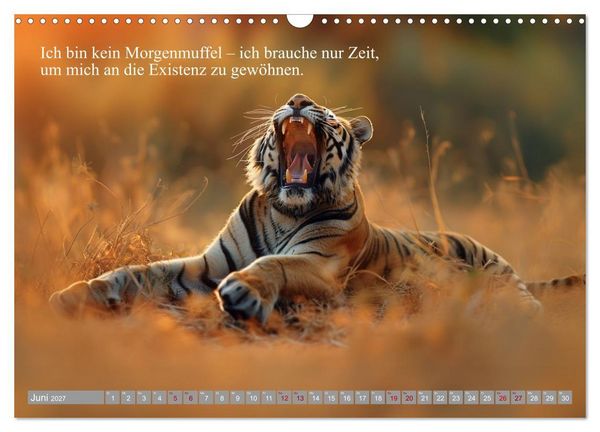 Produktbild: Erst schlafen, dann Welt retten (Wandkalender 2027 DIN A3 quer), CALVENDO Monatskalender