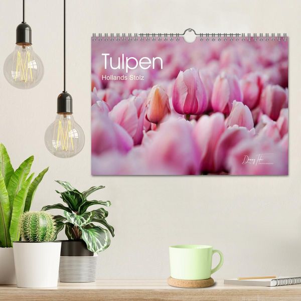 Produktbild: Tulpen - Hollands Stolz (Wandkalender 2027 DIN A4 quer), CALVENDO Monatskalender