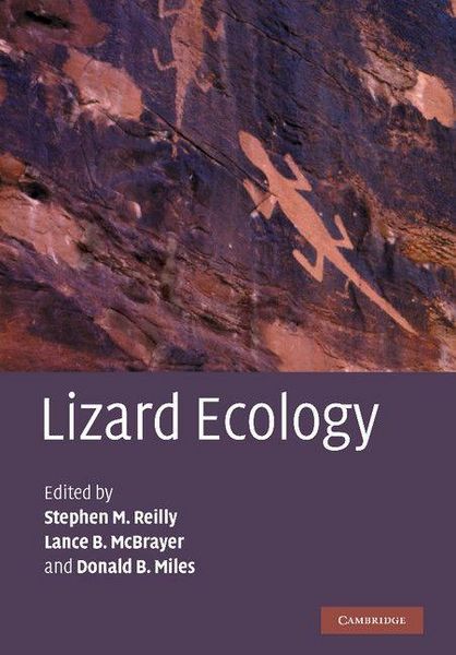 Produktbild: Lizard Ecology
