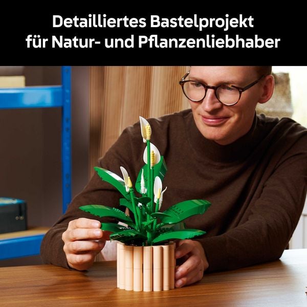 Produktbild: LEGO Botanicals 11504 Friedenslilie, Kunstblumen, DIY Deko Pflanzen