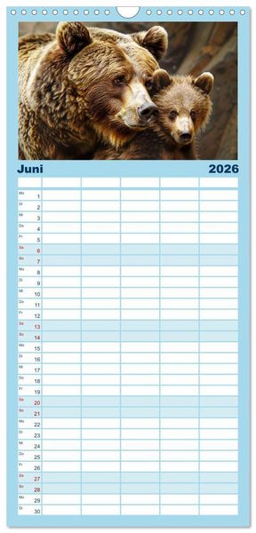 Produktbild: Familienplaner 2026 - Tierkinder des Nordens mit 5 Spalten (Wandkalender, 21 x 45 cm) CALVENDO