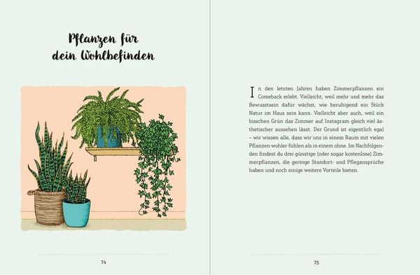 Produktbild: Mein Garten auf der Fensterbank