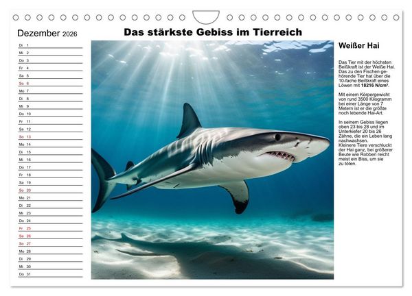 Produktbild: Tierische Rekorde (Wandkalender 2026 DIN A4 quer), CALVENDO Monatskalender