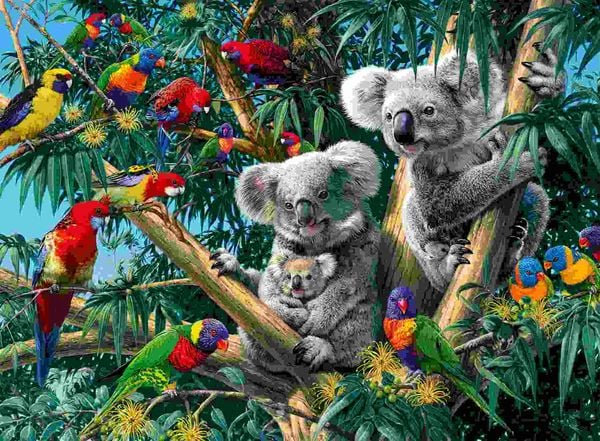 Produktbild: Erwachsenenpuzzle 500 Teile - Koalas im Baum