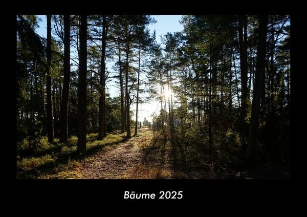 Produktbild: B&auml;ume 2025 Fotokalender DIN A3