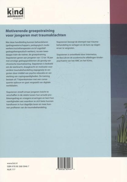 Produktbild: Motiverende groepstraining voor jongeren met traumaklachten