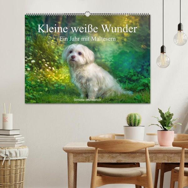 Produktbild: Kleine wei&szlig;e Wunder - ein Jahr mit Maltesern (Wandkalender 2027 DIN A2 quer), CALVENDO Monatskalender
