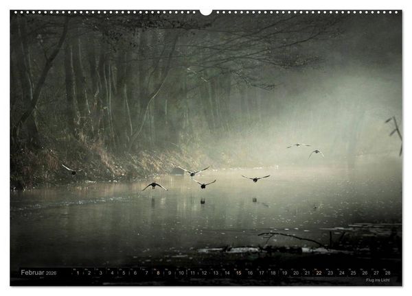 Produktbild: Traumlandschaften 2026 (Wandkalender 2026 DIN A2 quer), CALVENDO Monatskalender