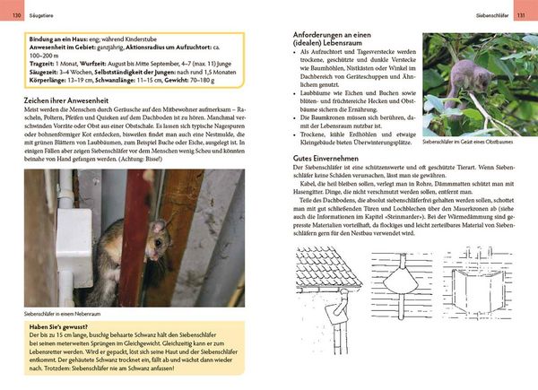 Produktbild: Wildtiere am Haus