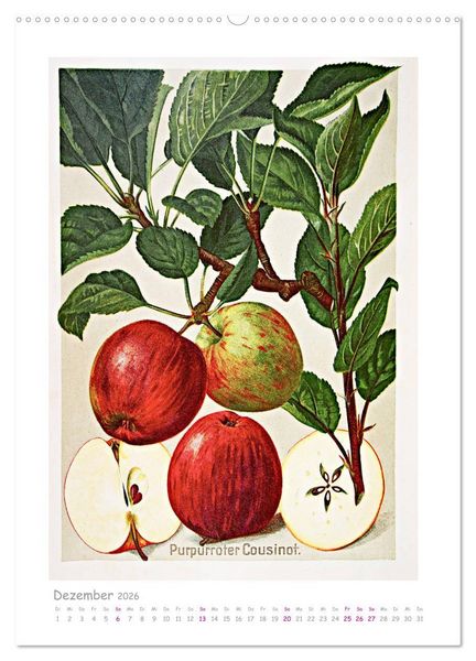 Produktbild: &Auml;pfel/Appels. Alte ostfriesische Sorten (hochwertiger Premium Wandkalender 2026 DIN A2 hoch), Kunstdruck in Hochglanz