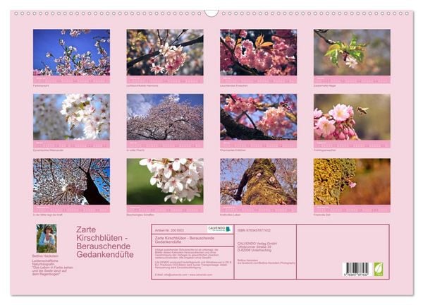 Produktbild: Zarte Kirschbl&uuml;ten - Berauschende Gedankend&uuml;fte (Wandkalender 2026 DIN A2 quer), CALVENDO Monatskalender