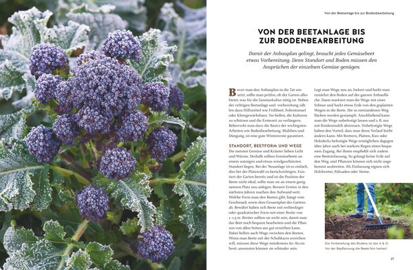 Produktbild: Wintergem&uuml;se anbauen