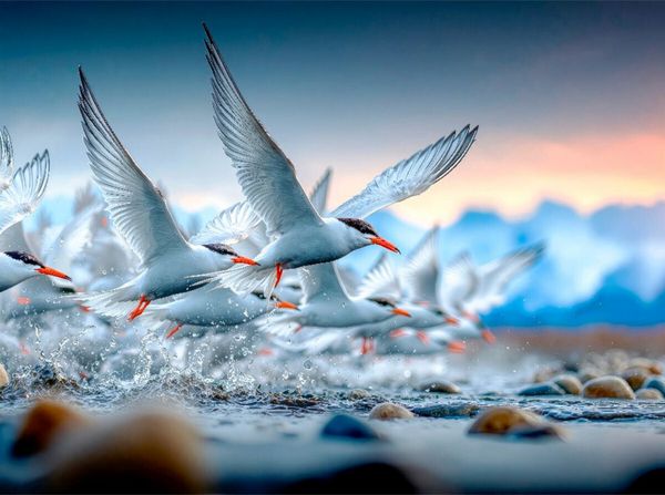 Produktbild: CALVENDO Puzzle Flug an die K&uuml;ste | 2000 Teile Lege-Gr&ouml;&szlig;e 90x67cm Foto-Puzzle f&uuml;r gl&uuml;ckliche Stunden