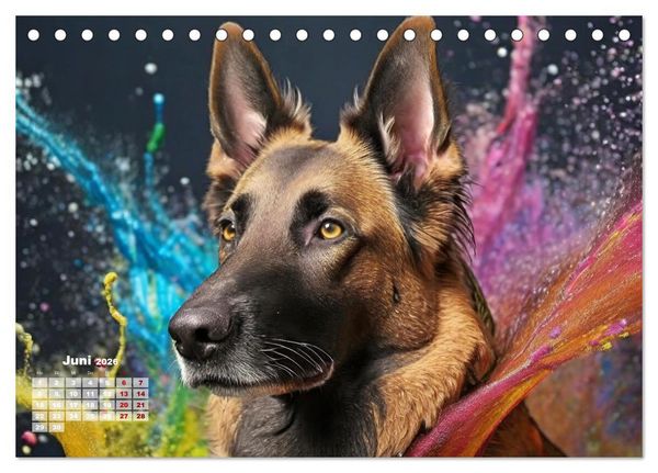 Produktbild: Splash - Hunde im Farbrausch (Tischkalender 2026 DIN A5 quer), CALVENDO Monatskalender