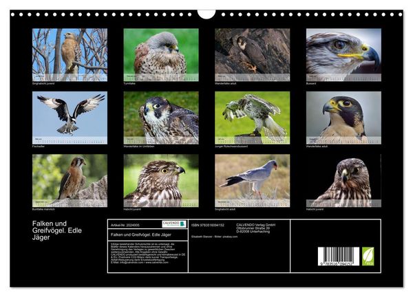 Produktbild: Falken und Greifv&ouml;gel. Edle J&auml;ger (Wandkalender 2026 DIN A3 quer), CALVENDO Monatskalender
