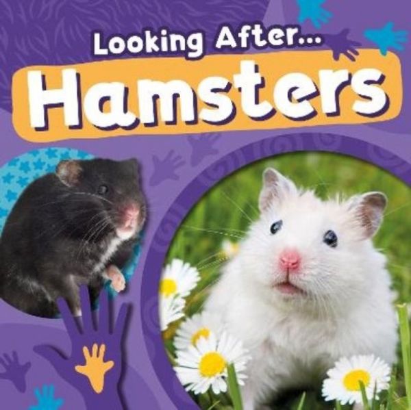 Produktbild: Hamsters