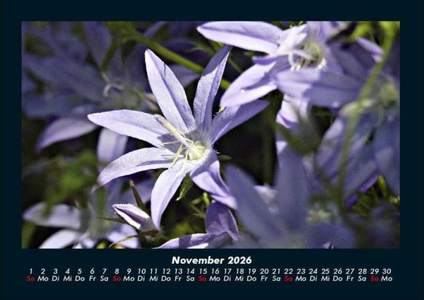Produktbild: Blumenkalender 2026 Fotokalender DIN A4