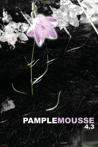 Produktbild: Pamplemousse 4.3