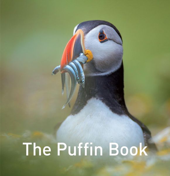 Produktbild: Puffin Book