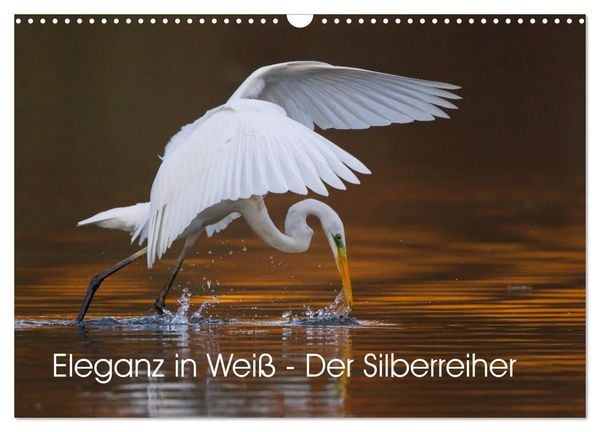 Produktbild: Eleganz in Wei&szlig; - Der Silberreiher (Wandkalender 2026 DIN A3 quer), CALVENDO Monatskalender