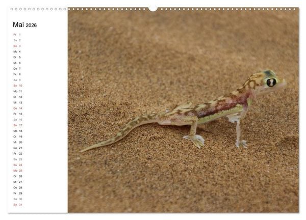 Produktbild: Namibia - Tierische Vielfalt (Planer) (hochwertiger Premium Wandkalender 2026 DIN A2 quer), Kunstdruck in Hochglanz