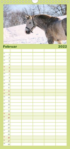 Produktbild: Familienplaner Faszination Pferde (Wandkalender 2022 , 21 cm x 45 cm, hoch)
