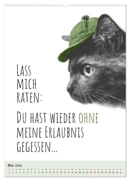 Produktbild: Katzenkult - Coolness auf vier Pfoten (hochwertiger Premium Wandkalender 2026 DIN A2 hoch), Kunstdruck in Hochglanz