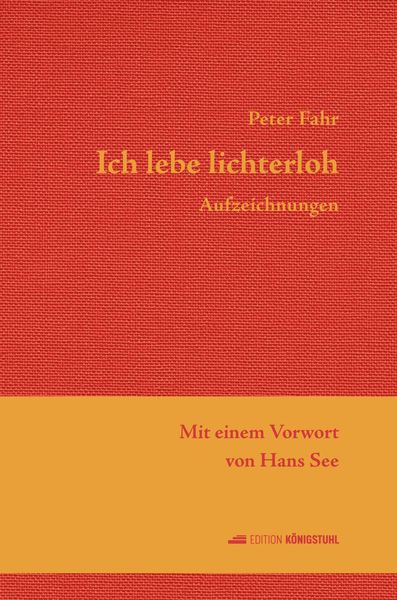 Produktbild: Ich lebe lichterloh