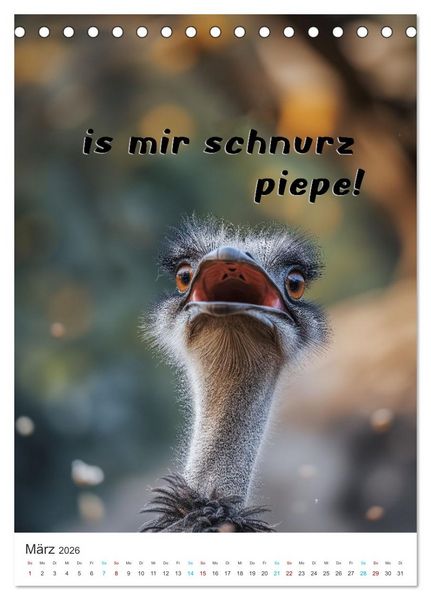 Produktbild: Lustige Tiere (Tischkalender 2026 DIN A5 hoch), CALVENDO Monatskalender