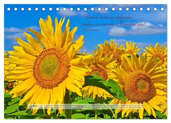 Produktbild: Motivierende Spr&uuml;che - gest&auml;rkt durch das Jahr (Tischkalender 2026 DIN A5 quer), CALVENDO Monatskalender