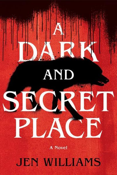Produktbild: A Dark and Secret Place