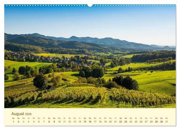 Produktbild: Freiburg Perle im Breisgau (Wandkalender 2026 DIN A2 quer), CALVENDO Monatskalender